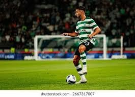 延庆石京龙滑雪场新雪季开板 夜场滑雪解锁冬日冰雪新体验