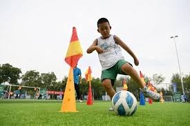 真巧，2025赛季J联赛与K联赛最佳教练均是中超前主帅